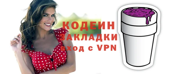 сатива Новозыбков