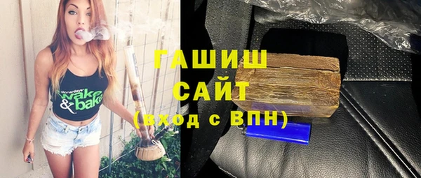 сатива Новозыбков
